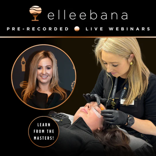 Pre-Recorded Webinar Session - Is Flipping the Lid Affecting My Results?