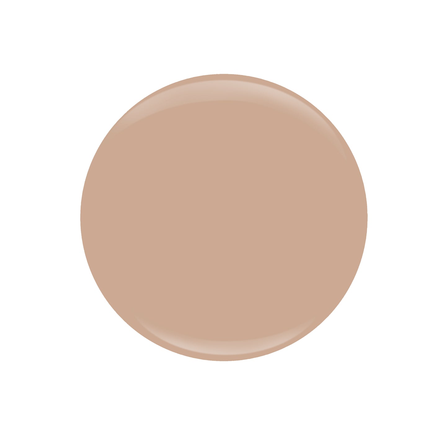 Entity - Dip or Brush Fall 2022 When In Rome- See the Sights