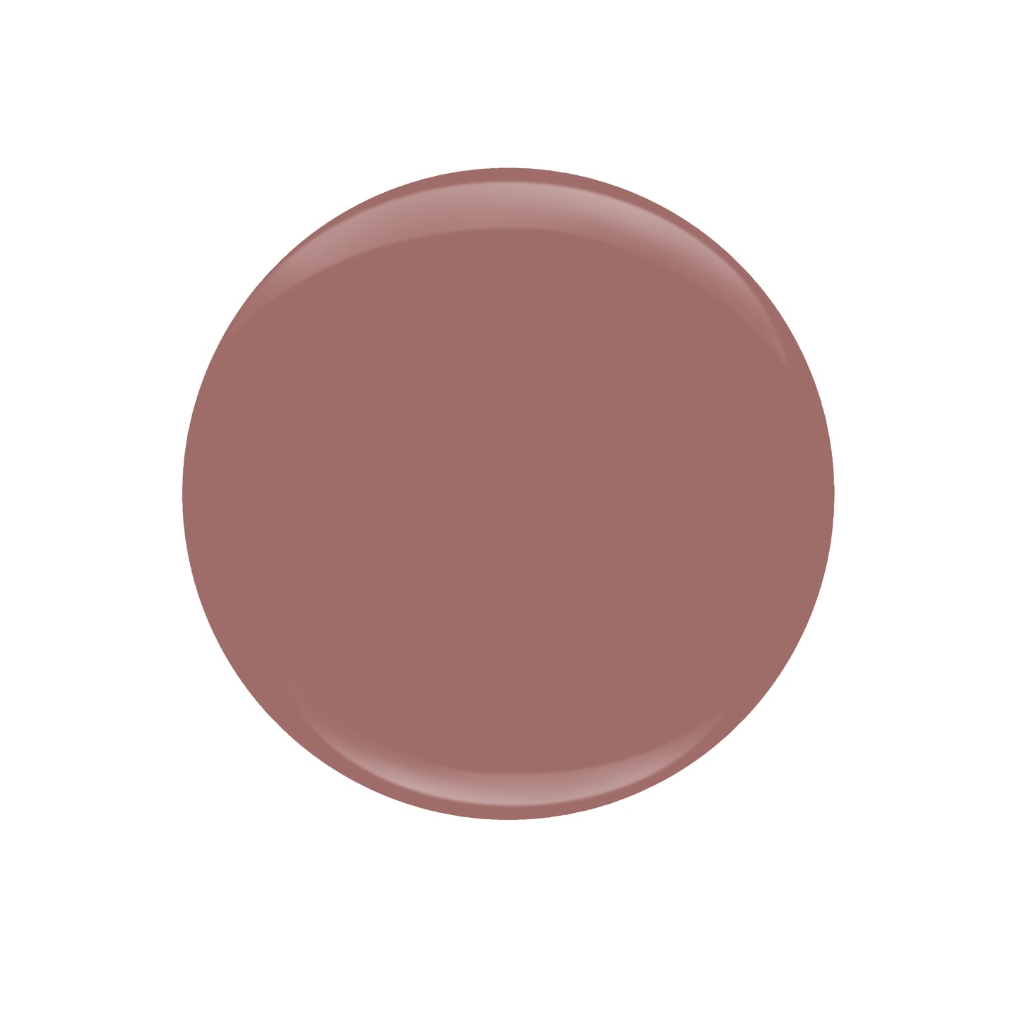 Entity - Dip or Brush Fall 2022 When In Rome- Feeling Rome-Antic