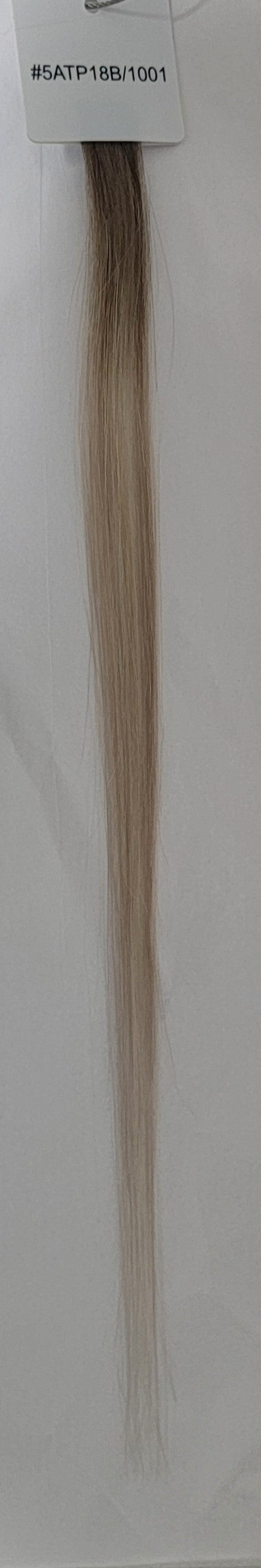 Lisa Ellen Fuller at Ends 20 inch Tape In Hair Extension Ombre 5ATP18B/1001 NEW